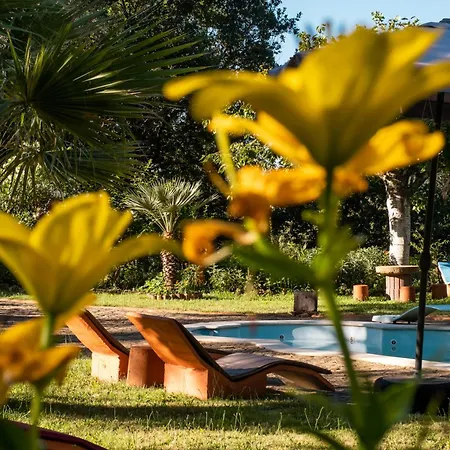 Quinta Dos Sarilhos Guest house