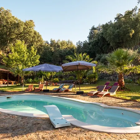 Quinta Dos Sarilhos Guest house *