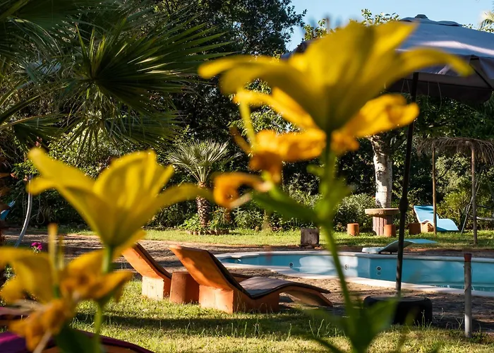 Quinta Dos Sarilhos Casa de hóspedes