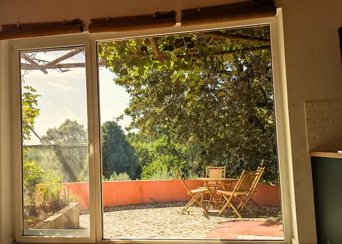 Quinta Dos Sarilhos 페드로강 그란지